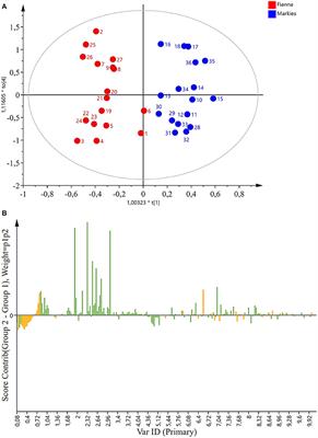 1H-NMR-Based Metabolomic Study of Potato Cultivars, Markies and Fianna, Exposed to Different Water Regimes